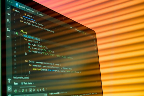 Coques de téléphone : l'essentiel pour un style unique